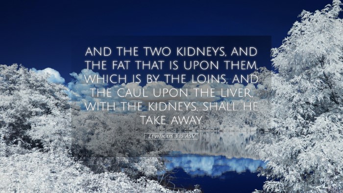 Picture 05 - Leviticus 3:15 ASV Desktop Wallpaper - and the two kidneys, and the fat that is upon - Desktop Bible Verse Wallpaper
