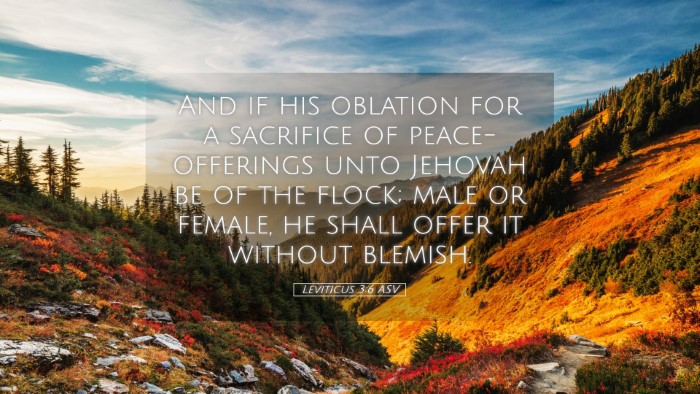 Picture 05 - Leviticus 3:6 ASV Desktop Wallpaper - And if his oblation for a sacrifice of - Desktop Bible Verse Wallpaper