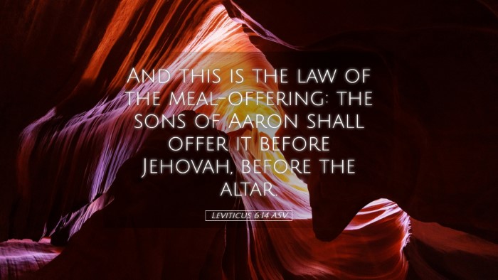 Picture 05 - Leviticus 6:14 ASV Desktop Wallpaper - And this is the law of the meal-offering: the - Desktop Bible Verse Wallpaper