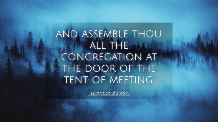 Picture 05 - Leviticus 8:3 ASV Desktop Wallpaper - and assemble thou all the congregation at the - Desktop Bible Verse Wallpaper