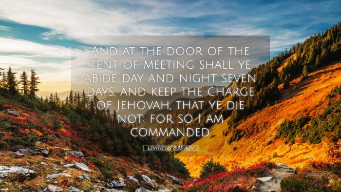 Picture 05 - Leviticus 8:35 ASV Desktop Wallpaper - And at the door of the tent of meeting shall ye - Desktop Bible Verse Wallpaper