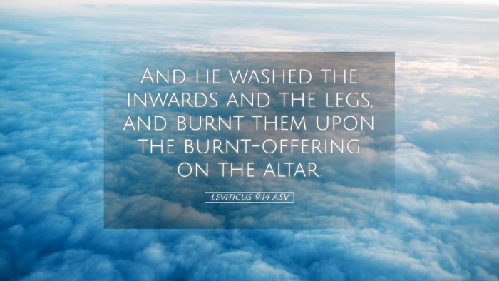 Picture 05 - Leviticus 9:14 ASV Desktop Wallpaper - And he washed the inwards and the legs, and burnt - Desktop Bible Verse Wallpaper