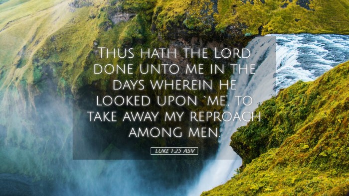 Picture 05 - Luke 1:25 ASV Desktop Wallpaper - Thus hath the Lord done unto me in the days - Desktop Bible Verse Wallpaper