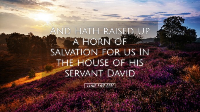 Picture 05 - Luke 1:69 ASV Desktop Wallpaper - And hath raised up a horn of salvation for us In - Desktop Bible Verse Wallpaper