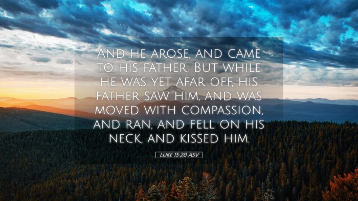 Picture 05 - Luke 15:20 ASV Desktop Wallpaper - And he arose, and came to his father. But while - Desktop Bible Verse Wallpaper