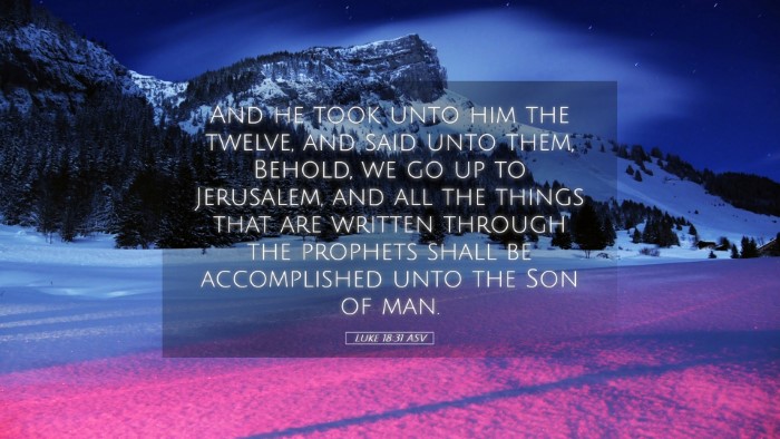 Picture 05 - Luke 18:31 ASV Desktop Wallpaper - And he took unto him the twelve, and said unto - Desktop Bible Verse Wallpaper
