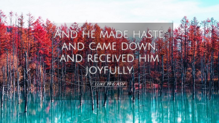 Picture 05 - Luke 19:6 ASV Desktop Wallpaper - And he made haste, and came down, and received - Desktop Bible Verse Wallpaper