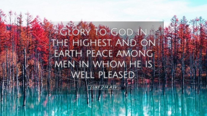 Picture 05 - Luke 2:14 ASV Desktop Wallpaper - Glory to God in the highest, And on earth peace - Desktop Bible Verse Wallpaper