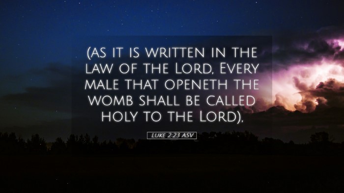Picture 05 - Luke 2:23 ASV Desktop Wallpaper - (as it is written in the law of the Lord, Every - Desktop Bible Verse Wallpaper
