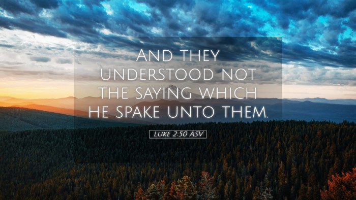Picture 05 - Luke 2:50 ASV Desktop Wallpaper - And they understood not the saying which he spake - Desktop Bible Verse Wallpaper