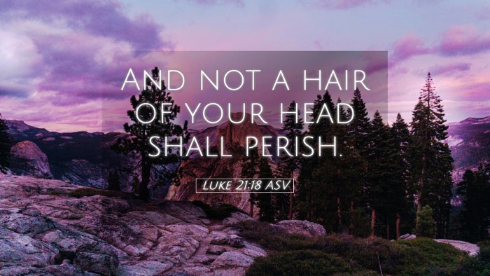 Picture 05 - Luke 21:18 ASV Desktop Wallpaper - And not a hair of your head shall - Desktop Bible Verse Wallpaper