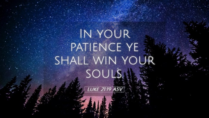 Picture 05 - Luke 21:19 ASV Desktop Wallpaper - In your patience ye shall win your - Desktop Bible Verse Wallpaper