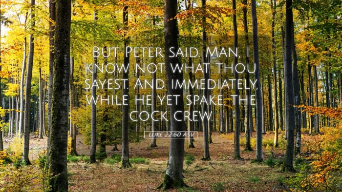 Picture 05 - Luke 22:60 ASV Desktop Wallpaper - But Peter said, Man, I know not what thou sayest. - Desktop Bible Verse Wallpaper