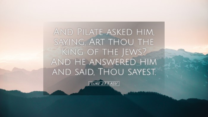 Picture 05 - Luke 23:3 ASV Desktop Wallpaper - And Pilate asked him, saying, Art thou the King - Desktop Bible Verse Wallpaper