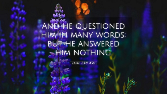 Picture 05 - Luke 23:9 ASV Desktop Wallpaper - And he questioned him in many words; but he - Desktop Bible Verse Wallpaper
