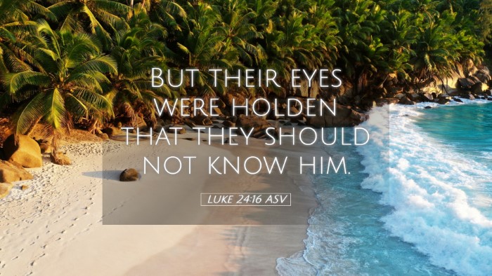 Picture 05 - Luke 24:16 ASV Desktop Wallpaper - But their eyes were holden that they should not - Desktop Bible Verse Wallpaper