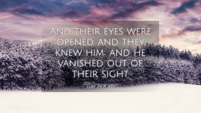 Picture 05 - Luke 24:31 ASV Desktop Wallpaper - And their eyes were opened, and they knew him; - Desktop Bible Verse Wallpaper