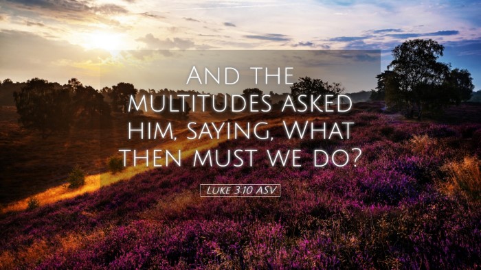 Picture 05 - Luke 3:10 ASV Desktop Wallpaper - And the multitudes asked him, saying, What then - Desktop Bible Verse Wallpaper