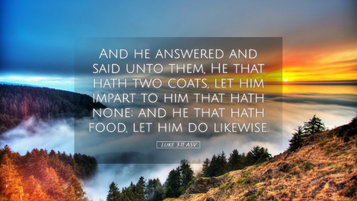 Picture 05 - Luke 3:11 ASV Desktop Wallpaper - And he answered and said unto them, He that hath - Desktop Bible Verse Wallpaper