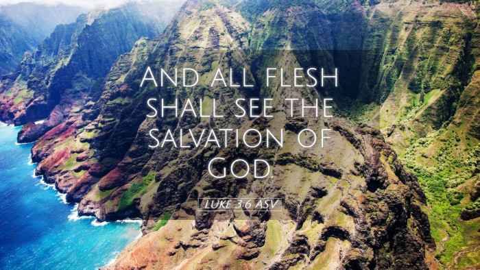Picture 05 - Luke 3:6 ASV Desktop Wallpaper - And all flesh shall see the salvation of - Desktop Bible Verse Wallpaper