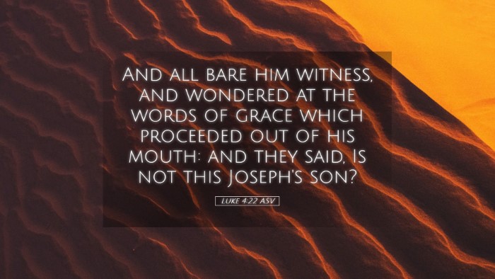 Picture 05 - Luke 4:22 ASV Desktop Wallpaper - And all bare him witness, and wondered at the - Desktop Bible Verse Wallpaper
