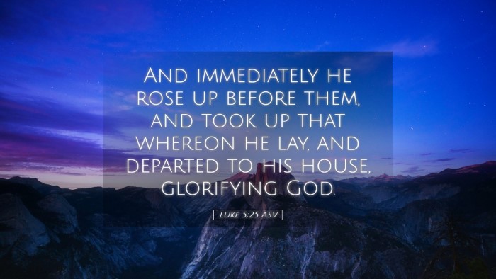 Picture 05 - Luke 5:25 ASV Desktop Wallpaper - And immediately he rose up before them, and took - Desktop Bible Verse Wallpaper