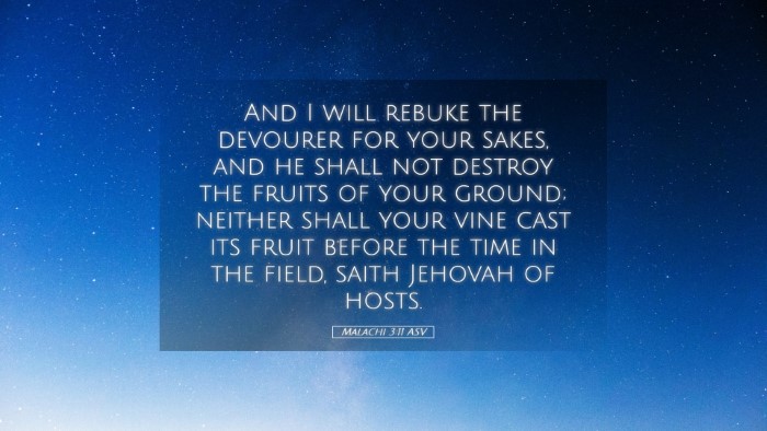 Picture 05 - Malachi 3:11 ASV Desktop Wallpaper - And I will rebuke the devourer for your sakes, - Desktop Bible Verse Wallpaper
