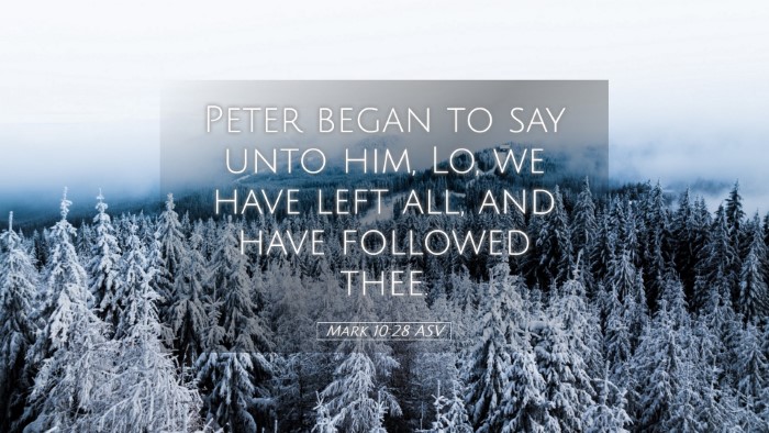 Picture 05 - Mark 10:28 ASV Desktop Wallpaper - Peter began to say unto him, Lo, we have left - Desktop Bible Verse Wallpaper