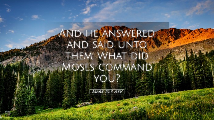 Picture 05 - Mark 10:3 ASV Desktop Wallpaper - And he answered and said unto them, What did - Desktop Bible Verse Wallpaper