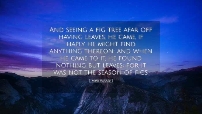 Picture 05 - Mark 11:13 ASV Desktop Wallpaper - And seeing a fig tree afar off having leaves, he - Desktop Bible Verse Wallpaper