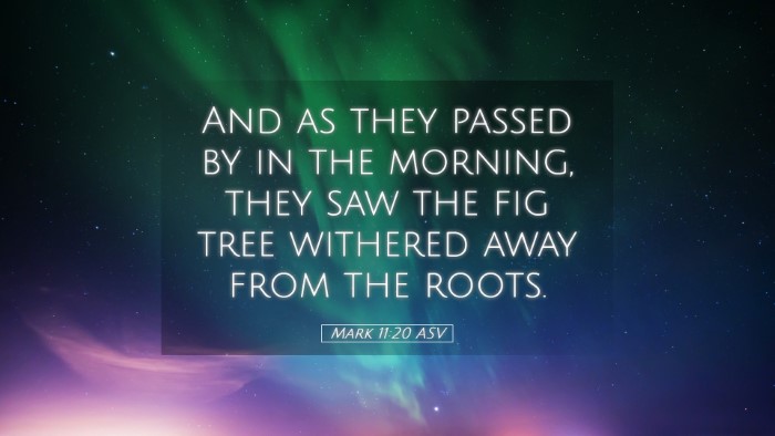 Picture 05 - Mark 11:20 ASV Desktop Wallpaper - And as they passed by in the morning, they saw - Desktop Bible Verse Wallpaper