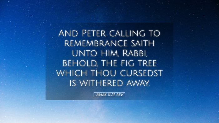 Picture 05 - Mark 11:21 ASV Desktop Wallpaper - And Peter calling to remembrance saith unto him, - Desktop Bible Verse Wallpaper