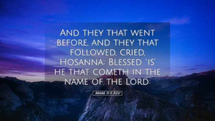 Picture 05 - Mark 11:9 ASV Desktop Wallpaper - And they that went before, and they that - Desktop Bible Verse Wallpaper