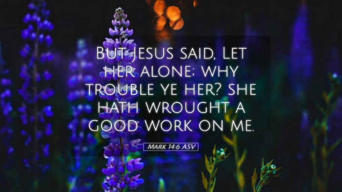 Picture 05 - Mark 14:6 ASV Desktop Wallpaper - But Jesus said, Let her alone; why trouble ye - Desktop Bible Verse Wallpaper