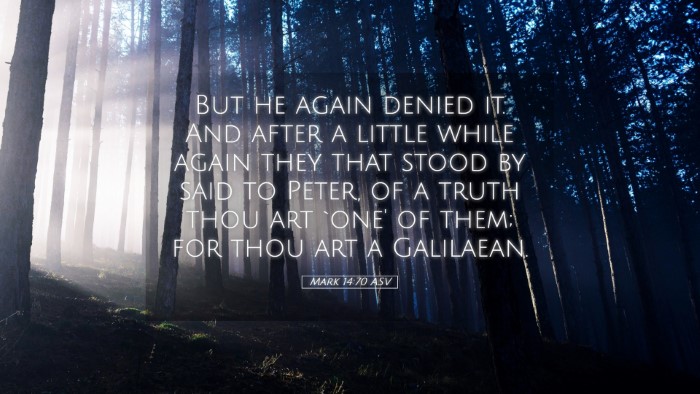 Picture 05 - Mark 14:70 ASV Desktop Wallpaper - But he again denied it. And after a little while - Desktop Bible Verse Wallpaper