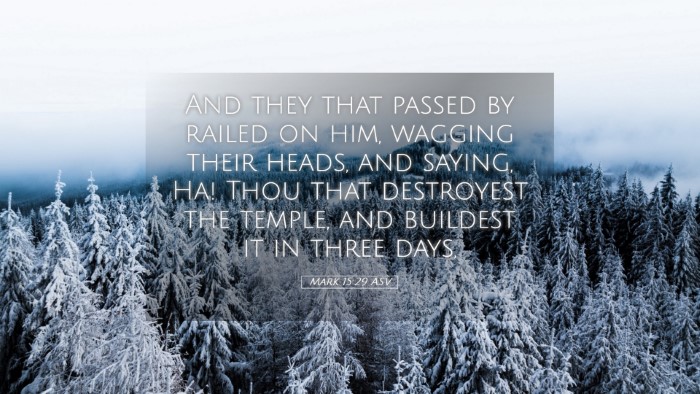Picture 05 - Mark 15:29 ASV Desktop Wallpaper - And they that passed by railed on him, wagging - Desktop Bible Verse Wallpaper