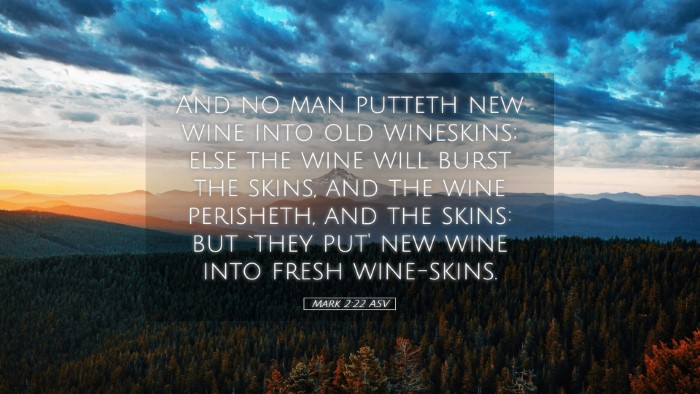 Picture 05 - Mark 2:22 ASV Desktop Wallpaper - And no man putteth new wine into old wineskins; - Desktop Bible Verse Wallpaper