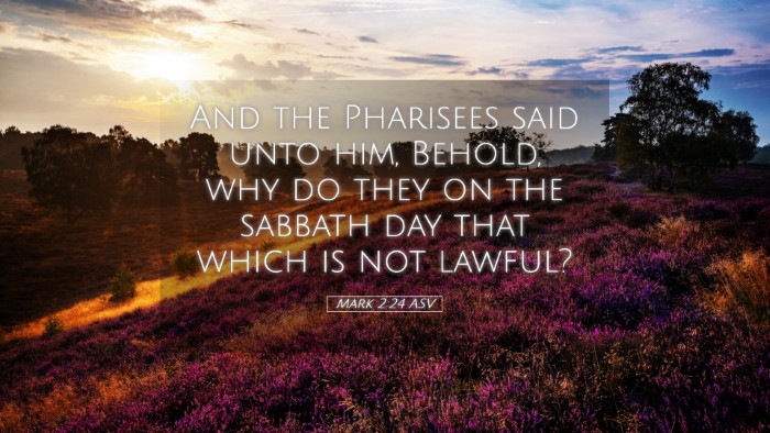 Picture 05 - Mark 2:24 ASV Desktop Wallpaper - And the Pharisees said unto him, Behold, why do - Desktop Bible Verse Wallpaper