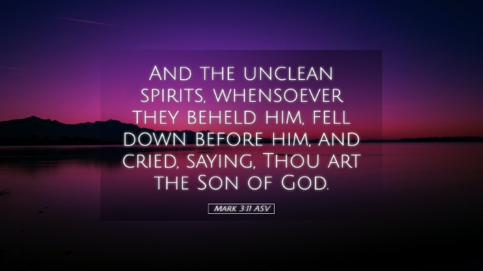 Picture 05 - Mark 3:11 ASV Desktop Wallpaper - And the unclean spirits, whensoever they beheld - Desktop Bible Verse Wallpaper