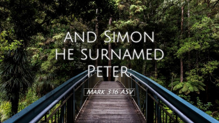 Picture 05 - Mark 3:16 ASV Desktop Wallpaper - and Simon he surnamed - Desktop Bible Verse Wallpaper