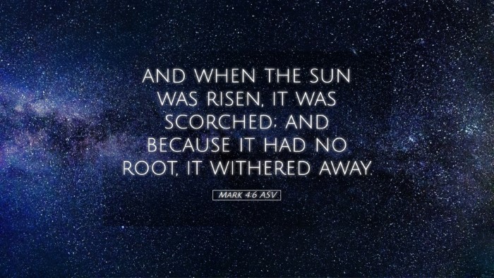 Picture 05 - Mark 4:6 ASV Desktop Wallpaper - and when the sun was risen, it was scorched; and - Desktop Bible Verse Wallpaper
