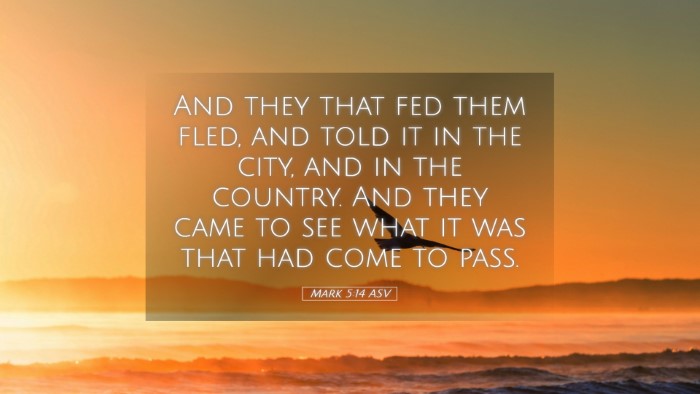 Picture 05 - Mark 5:14 ASV Desktop Wallpaper - And they that fed them fled, and told it in the - Desktop Bible Verse Wallpaper