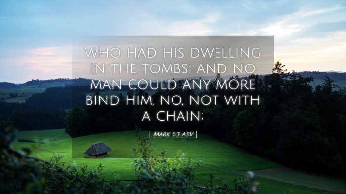 Picture 05 - Mark 5:3 ASV Desktop Wallpaper - who had his dwelling in the tombs: and no man - Desktop Bible Verse Wallpaper