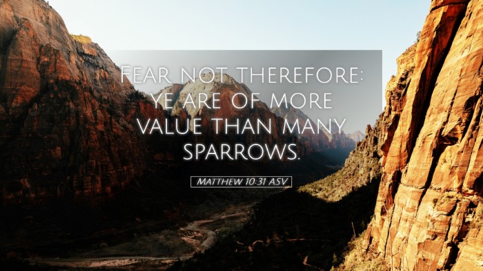 Picture 05 - Matthew 10:31 ASV Desktop Wallpaper - Fear not therefore: ye are of more value than - Desktop Bible Verse Wallpaper