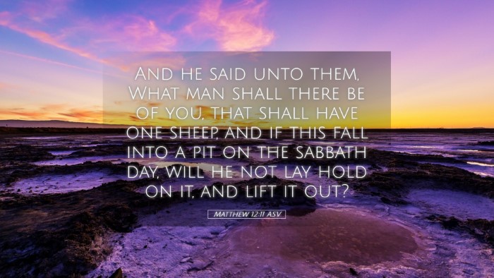 Picture 05 - Matthew 12:11 ASV Desktop Wallpaper - And he said unto them, What man shall there be of - Desktop Bible Verse Wallpaper