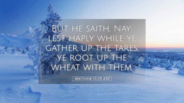 Picture 05 - Matthew 13:29 ASV Desktop Wallpaper - But he saith, Nay; lest haply while ye gather up - Desktop Bible Verse Wallpaper