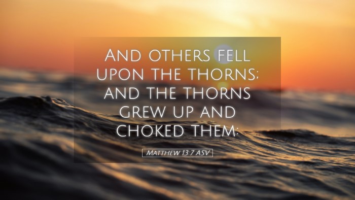 Picture 05 - Matthew 13:7 ASV Desktop Wallpaper - And others fell upon the thorns; and the thorns - Desktop Bible Verse Wallpaper