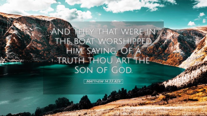 Picture 05 - Matthew 14:33 ASV Desktop Wallpaper - And they that were in the boat worshipped him, - Desktop Bible Verse Wallpaper
