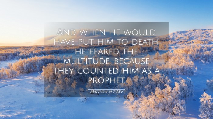 Picture 05 - Matthew 14:5 ASV Desktop Wallpaper - And when he would have put him to death, he - Desktop Bible Verse Wallpaper