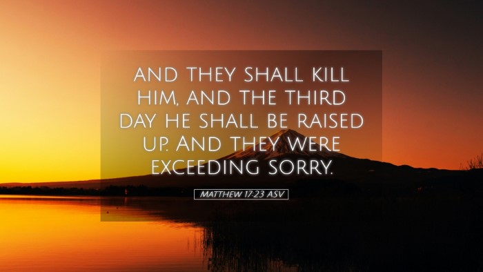 Picture 05 - Matthew 17:23 ASV Desktop Wallpaper - and they shall kill him, and the third day he - Desktop Bible Verse Wallpaper
